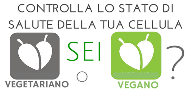 vegetariano vegano new senza intestazione